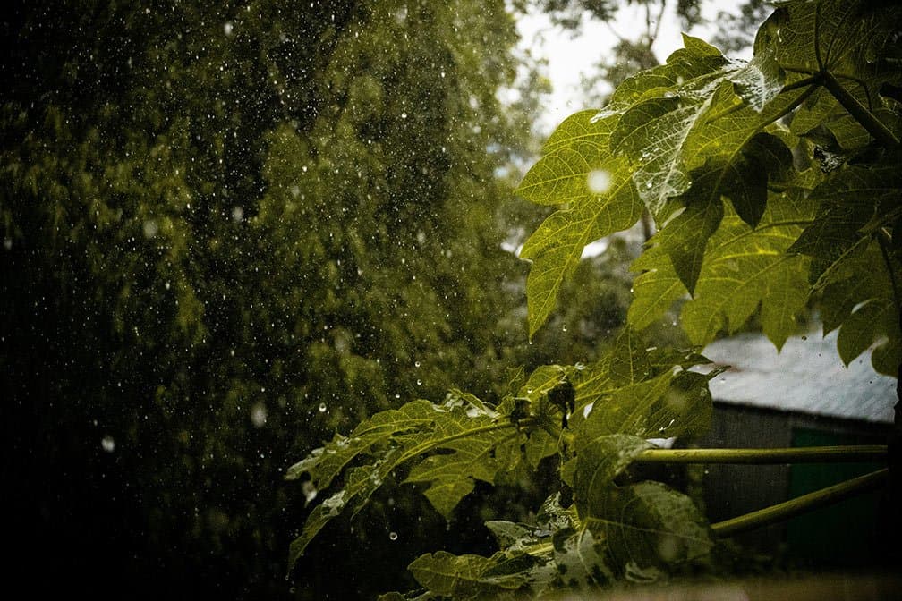 Rainy Day Activities to Enjoy on Martha’s Vineyard