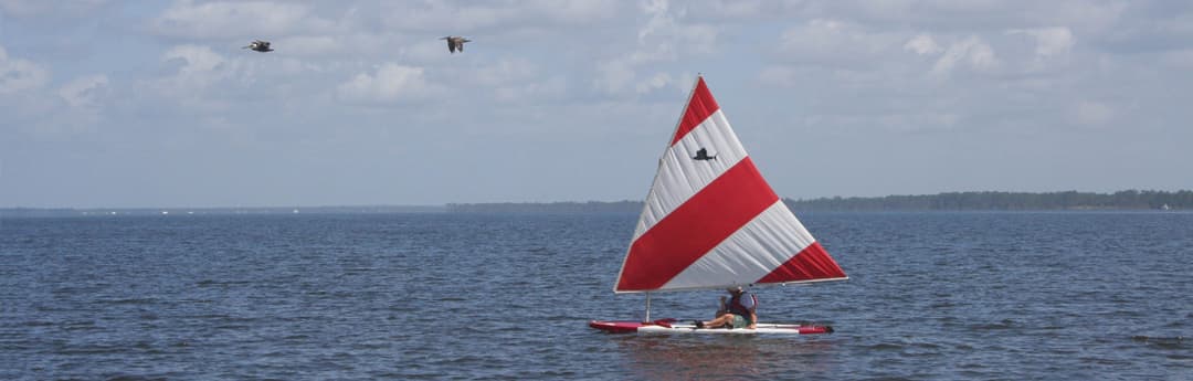 Sailfish. Edie Blake sailed one just like this