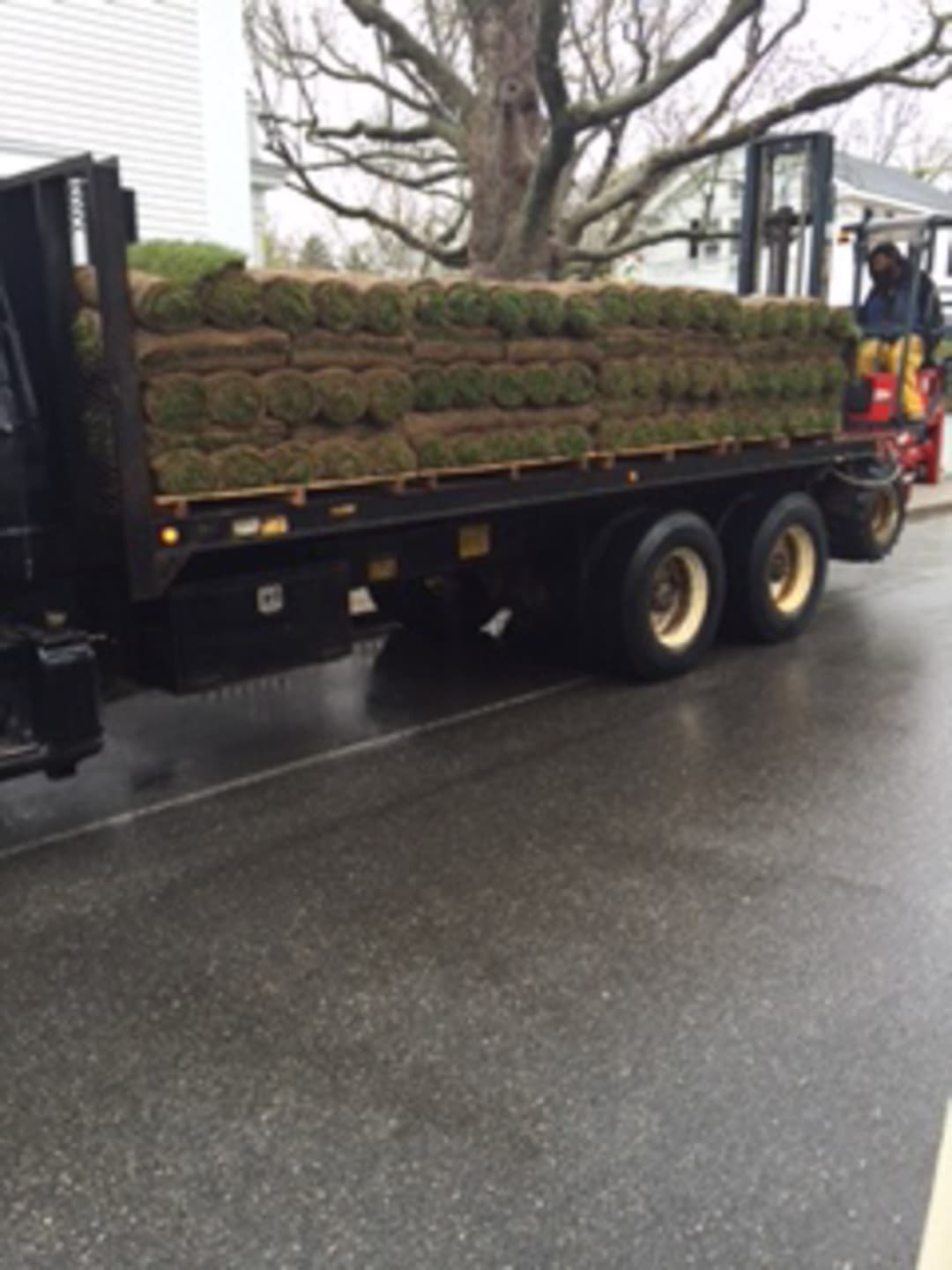 Captain Morse House. Sod Installation