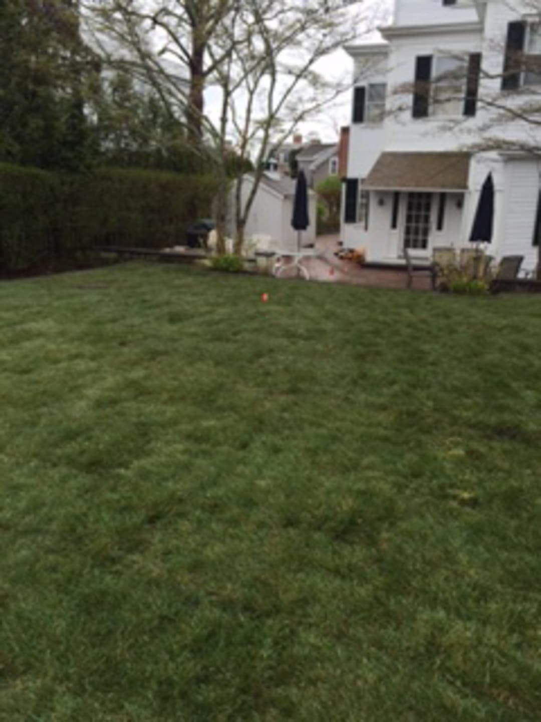 Captain Morse House. Sod Installation