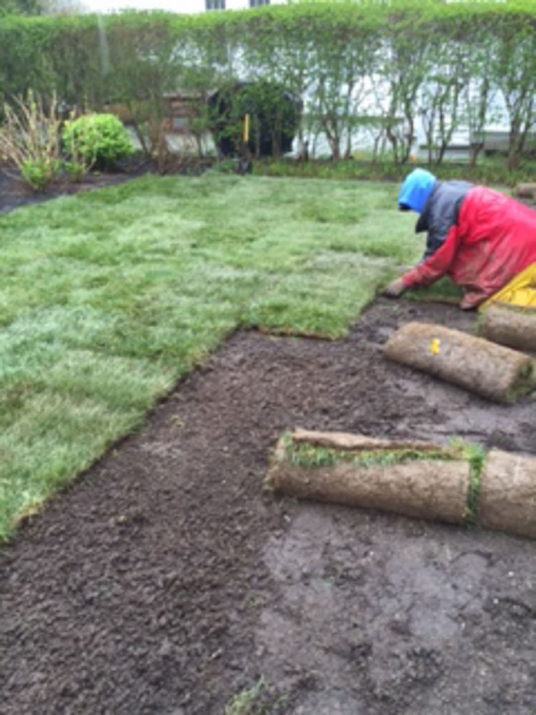 Captain Morse House. Sod Installation