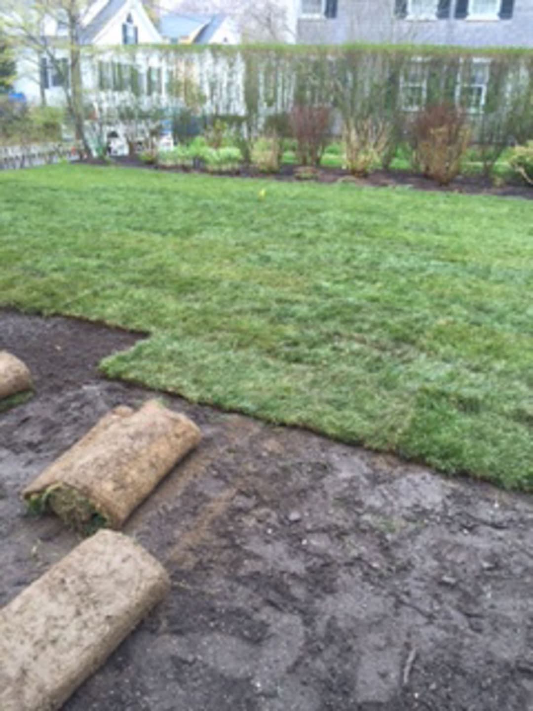 Captain Morse House. Sod Installation