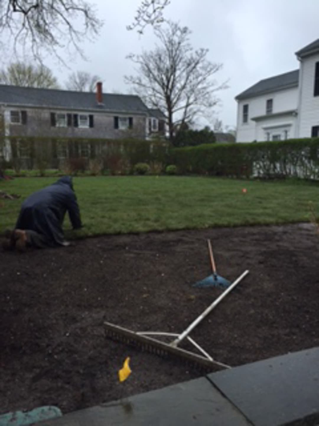 Captain Morse House. Sod Installation