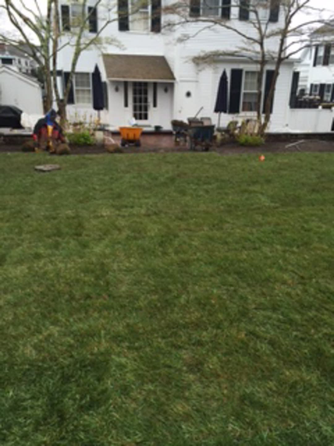 Captain Morse House. Sod Installation