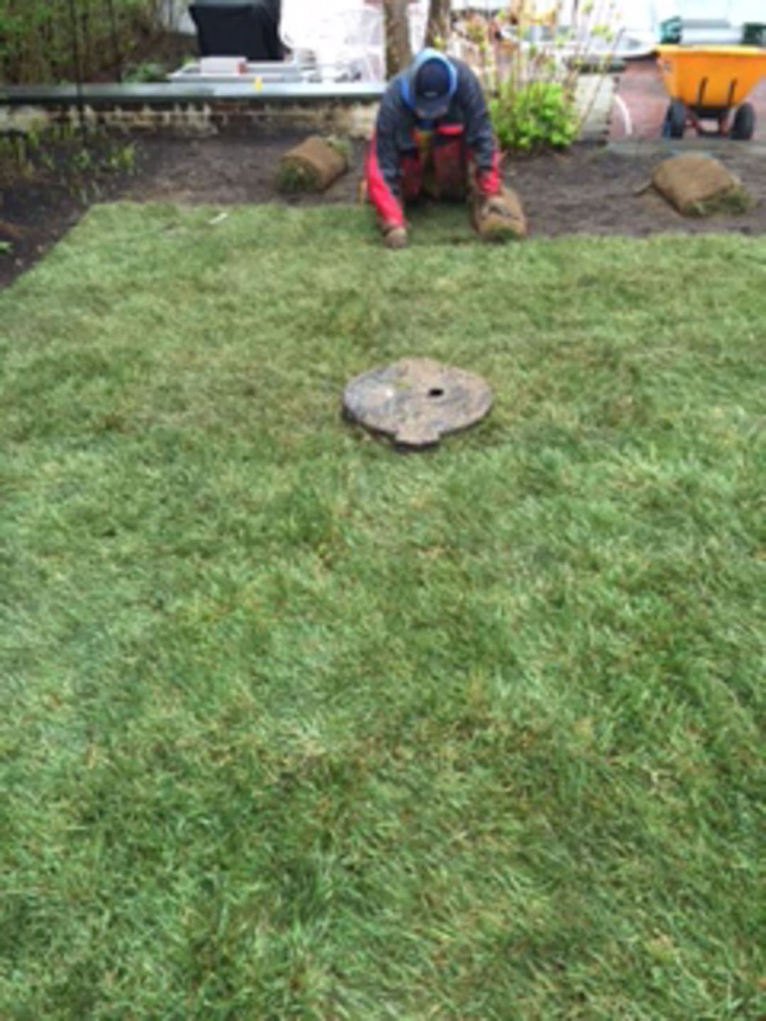 Captain Morse House. Sod Installation