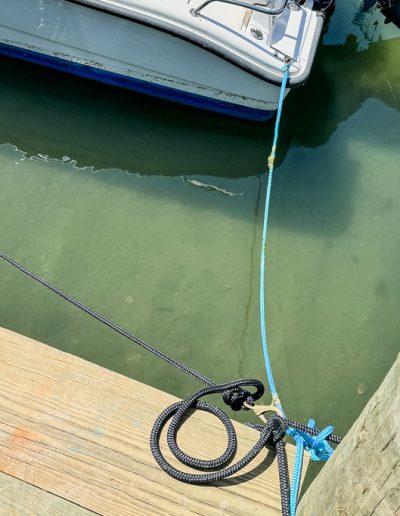 Boston Whaler Ventura
